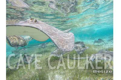 Caye Caulker , Belize